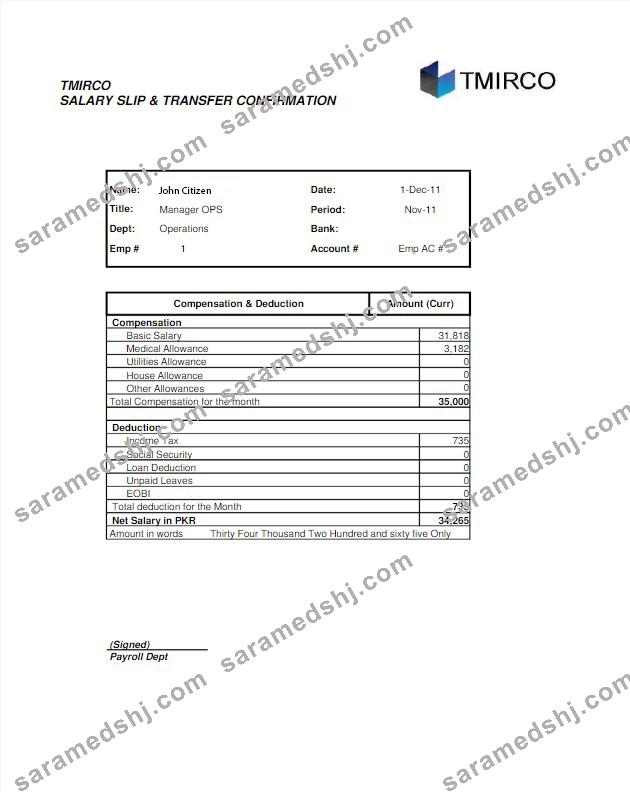 PAKISTAN TMIRCO company earning statemetn in Word and PDF formats